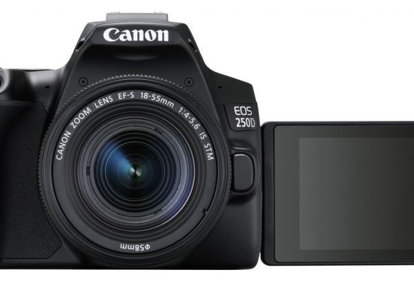 canon eos 250d stm