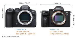  Sony A7 III vs Canon R6 Mark II